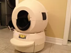 Kitty Litter Robot Funnel