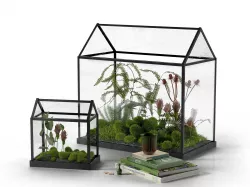 Mini Glass Greenhouse and Stack of Books with Cup 3D model