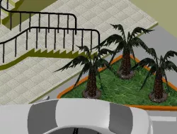 palm
