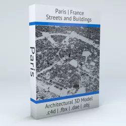 Paris Streets and Buildings 3D model