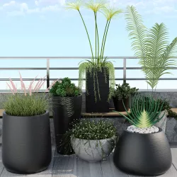 Plants 3D model