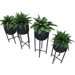 Plants 3D model