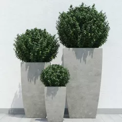 Plants 3D model