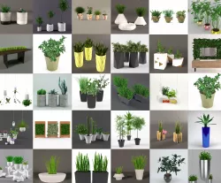 Plants 3D model