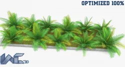 Plants Set Low-poly  3D model
