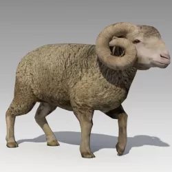 Ram Animated Low-poly  3D model