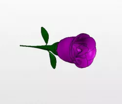 Rose Model
