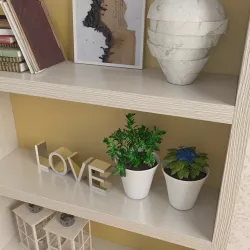 Shelf 01 3D model