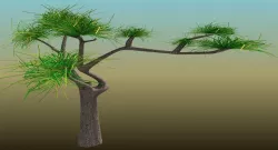 Tree 3D model