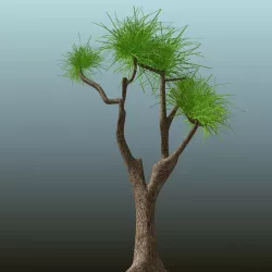 Tree 3D model