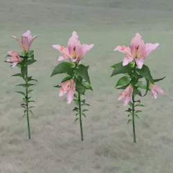 Tropical Pack Plants Low-poly  3D model