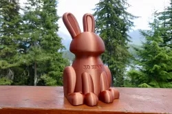 3D Bunny Model