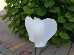 Big Flower rotating by wind