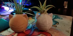 Chibi Cat Planter