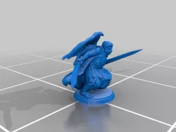 Dragon Warrior/Assassin