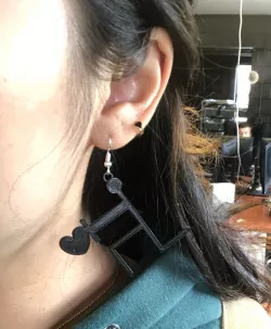 Earrings
