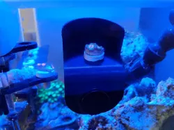Frag Photo Stand
