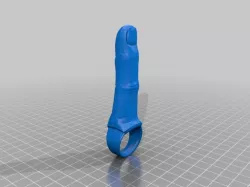 Middle Finger Ring (Fuck you Ring?)