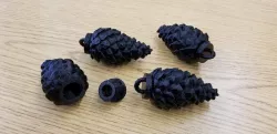 Pine Cone Geocache