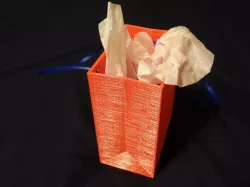 Small Gift Bag