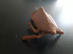 spot clothing wax cicada 3D Scan