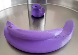 Anamorphic Rubber Duck