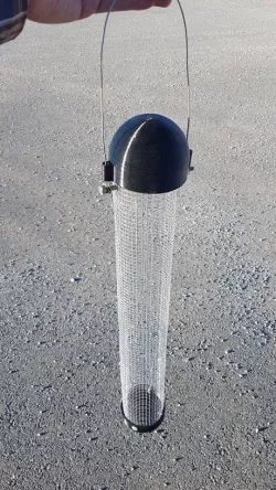 Bird Feeder Black Oil Sunflower Seed