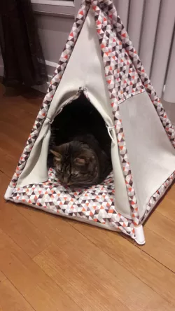 (cat) tipi feet
