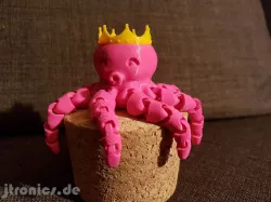 Cute Mini Octopus Princess