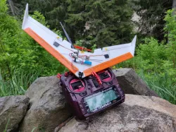 DiA Tiny Whing 40 1S wing