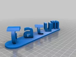  dual words illusion 