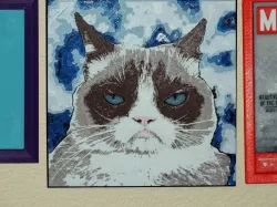 Grumpy Cat