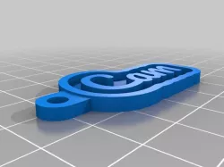 My Customized Key Chain - Cam