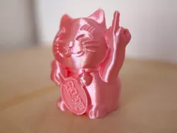 Naka yubi neko (Rude cat)