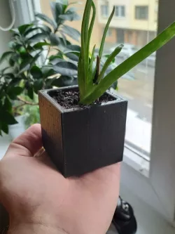 Succulent Planter Cube