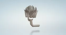 洛神 草掛