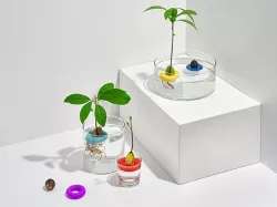 avo - floating avocado growing tool