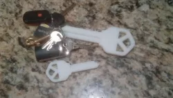 Big "Key" Ring