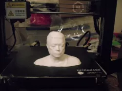Bust print of myself