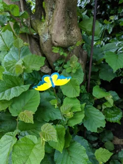 Butterfly - Wiggly colorful blobs for the garden or flowerpot)