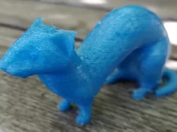 Ferret