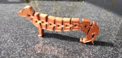 Flexi Dachshund