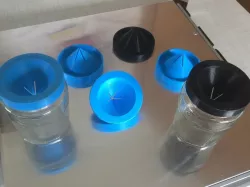Fruit Fly Trap (Customizable)