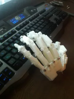 HUMAN SCALE HUMANOID ROBOT HANDS