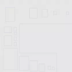 Image Sensor (FF-APS-Mobi) Visual