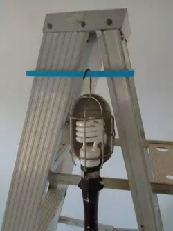 Ladder light