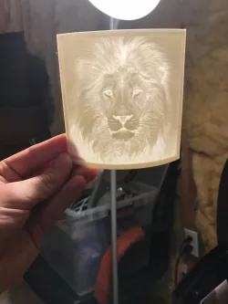 Lion outward curve lithophane