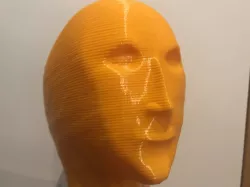 Mr. Succ (Meme Man)