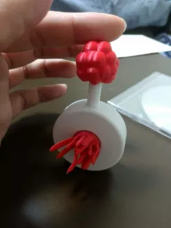 Plumbus