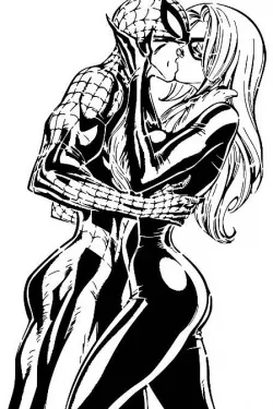 Spiderman and Black cat stencil